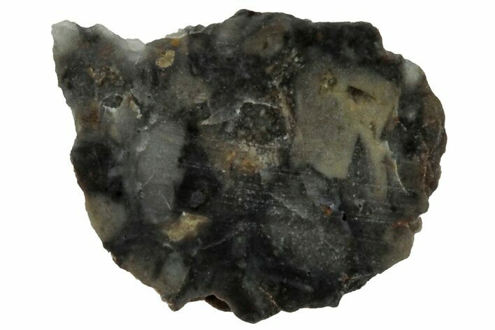 NWA Lunar Meteorite ( g) Slice #307596